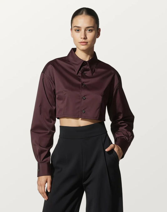 Dark Red Satin Long Sleeve Crop Shirt