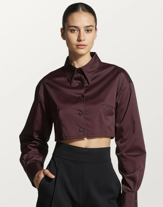 Dark Red Satin Long Sleeve Crop Shirt